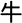 牛