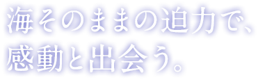 海そのままの迫力で、感動と出会う。