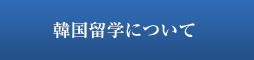 韓国留学について