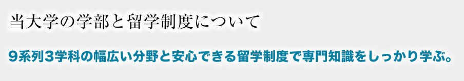 9系列3学科の幅広い分野と安心できる留学制度で専門知識をしっかり学ぶ。